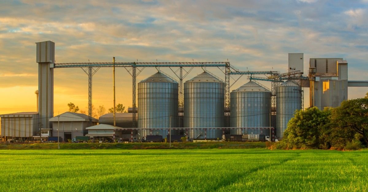 Magnesium Production